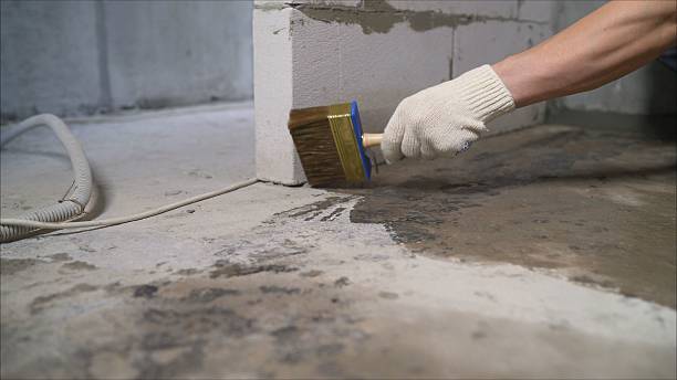 24/7 Emergency Wet Basement Repair experts in Norwood, OH